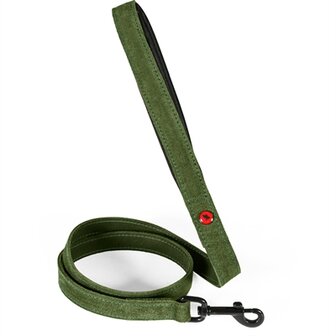 Zolux expert hondenriem premium leer / neopreen groen