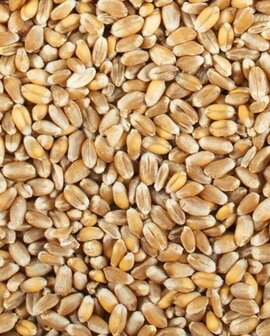 't Dijkje hele tarwe (geschoond) 20kg