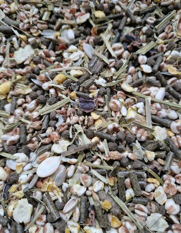 &#039;t Dijkje konijnenvoer gemengd super (1kg, 5kg, 10kg of 15kg verkrijgbaar)