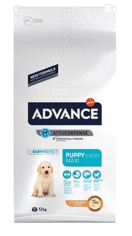 Advance puppy protect maxi