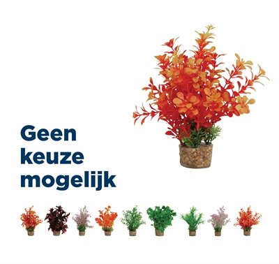 Zolux ornament pastic plant op stenen vrolijk assorti