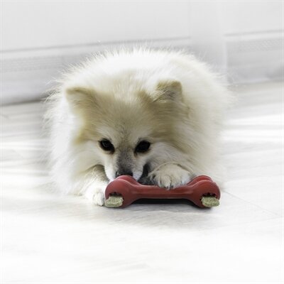Kong goodie bone