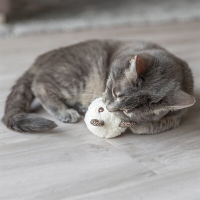 Trixie beer met catnip pluche assorti