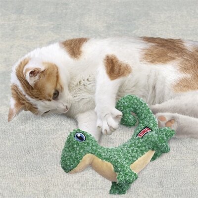 Kong cat luvs hagedis