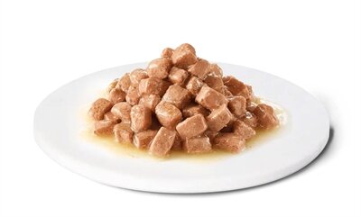 Advance veterinary diet cat renal nieren