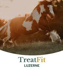 Metazoa TreatFit