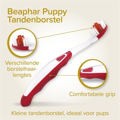 Beaphar tandpasta en borstel combi-pack puppy