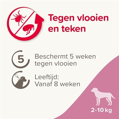 Beaphar fiprotec hond tegen teken en vlooien