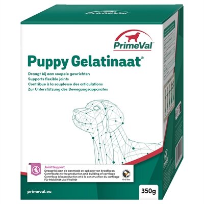 Primeval gelatinaat hond