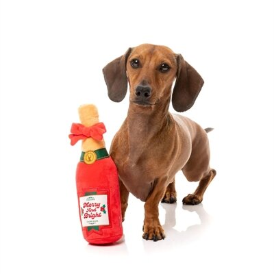 Fuzzyard merry & bright chomp-agne