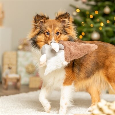 Trixie xmas kerstkabouter met geluid pluche