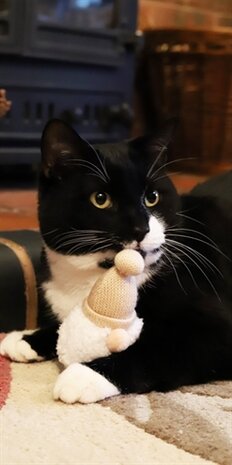 Cupid & comet pom pom gonk kerstman