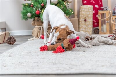 Trixie xmas rendier pluche / flostouw