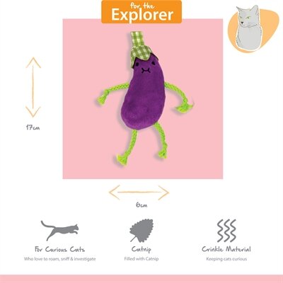 Happy pet tabby patch aubergines met catnip