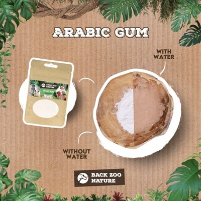 Back zoo nature arabic gum