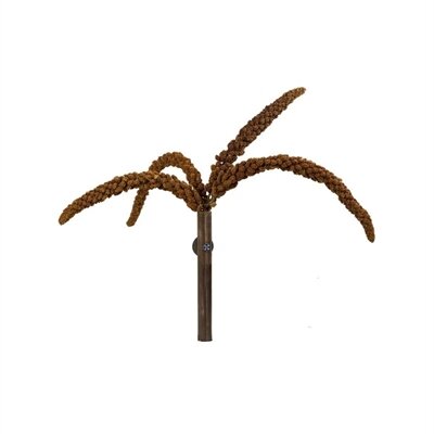 Back zoo nature franse trosgierst rood