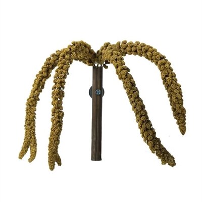 Back zoo nature franse trosgierst geel