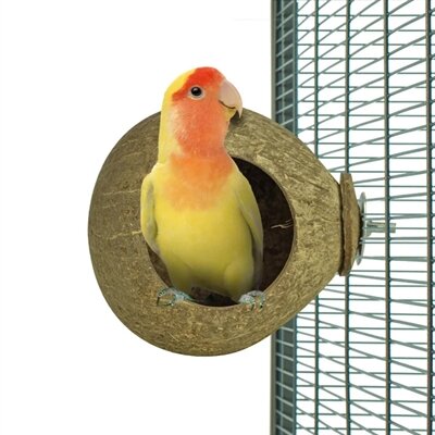 Back zoo nature coconut house