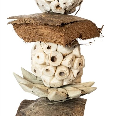 Back zoo nature coco shred sola