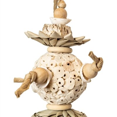 Back zoo nature ball and shells