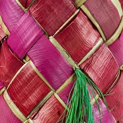 Back zoo nature carnival pinata