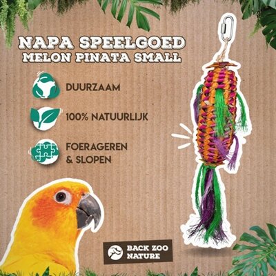 Back zoo nature melon pinata