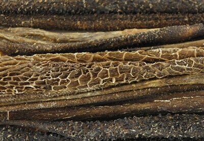 't Dijkje Pens staafjes 1kg