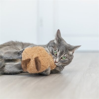 Trixie pinda xxl pluche met amerikaanse catnip