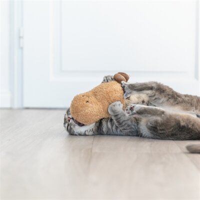 Trixie pinda xxl pluche met amerikaanse catnip