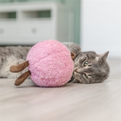 Trixie perzik xxl pluche met amerikaanse catnip