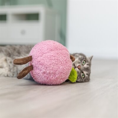 Trixie perzik xxl pluche met amerikaanse catnip