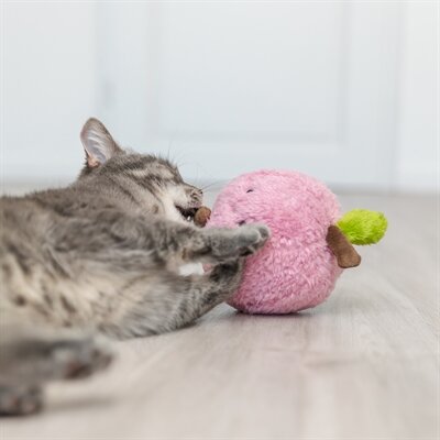 Trixie perzik xxl pluche met amerikaanse catnip