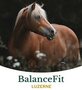 Metazoa BalanceFit Luzerne