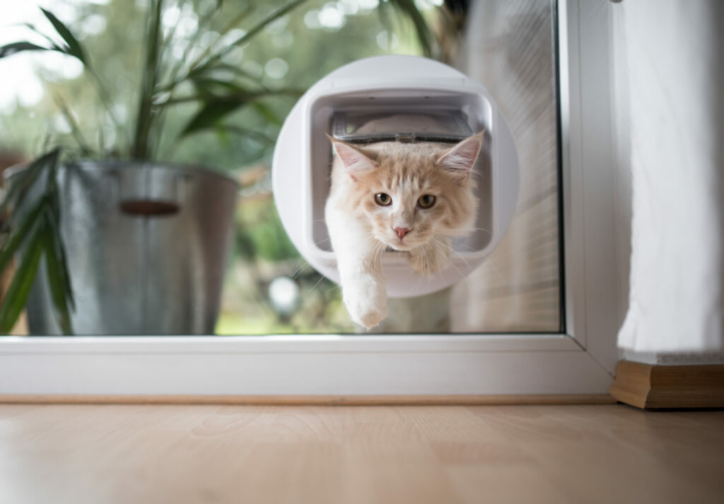 Honden-kattenluik Honden-kattenluik