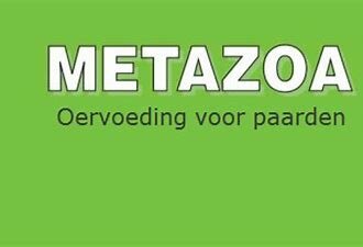Metazoa Metazoa
