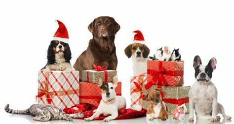 Kerst Kerst