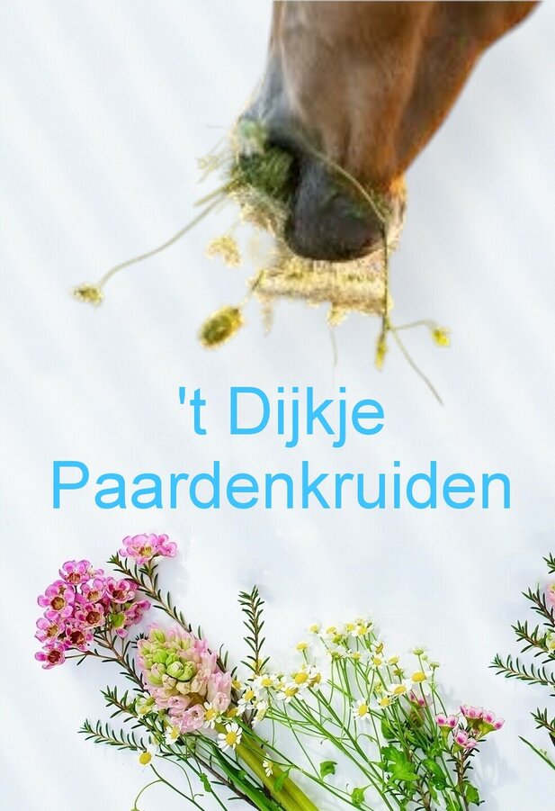 't Dijkje kruiden voor Paarden t-Dijkje-kruiden-voor-Paarden