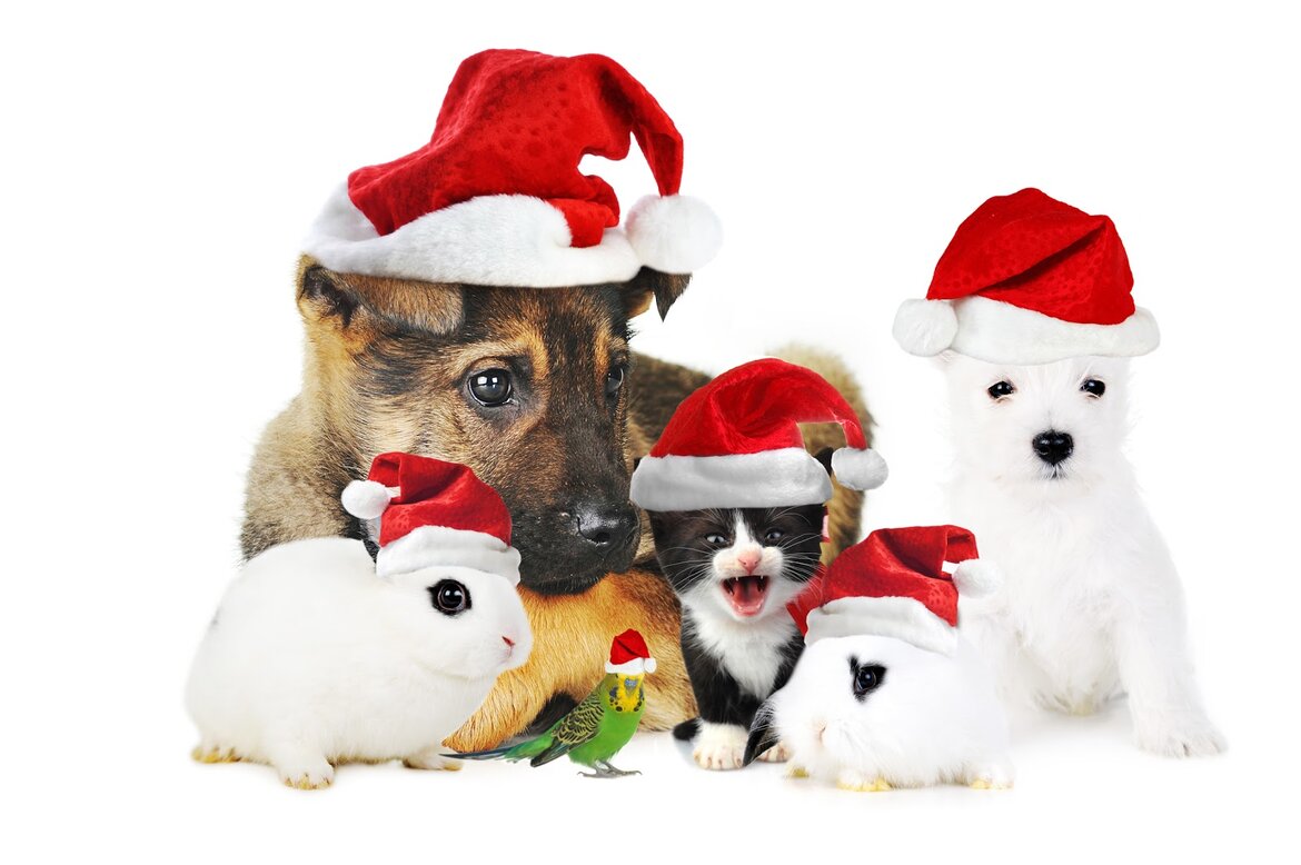 December feestmaand December-feestmaand