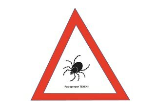 Teken bij de hond en kat