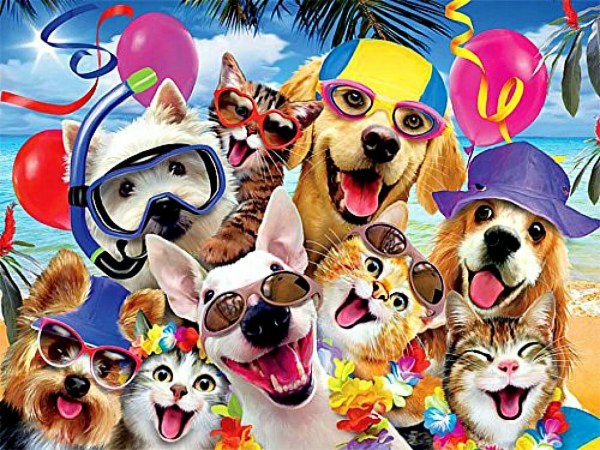 Zomervakantie met dieren