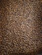 't Dijkje premium kattenbrok adult 10kg