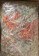 't Dijkje kruidenhooi wortel/echinacea 500gram 