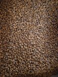 t Dijkje premium kattenbrok adult 10kg t Dijkje premium kattenbrok adult 10kg