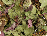 't Dijkje Echinacea 1kg 't Dijkje Echinacea 1kg