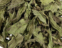 't Dijkje smalle weegbree Knaagdier/Konijn 250gr/500gr/1kg 't Dijkje smalle weegbree Knaagdier/Konijn 250gr/500gr/1kg