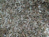 't Dijkje Kleefkruid, konijn/knaagdieren 100gr/250gr/500gr/1kg 't Dijkje Kleefkruid, konijn/knaagdieren 100gr/250gr/500gr/1kg